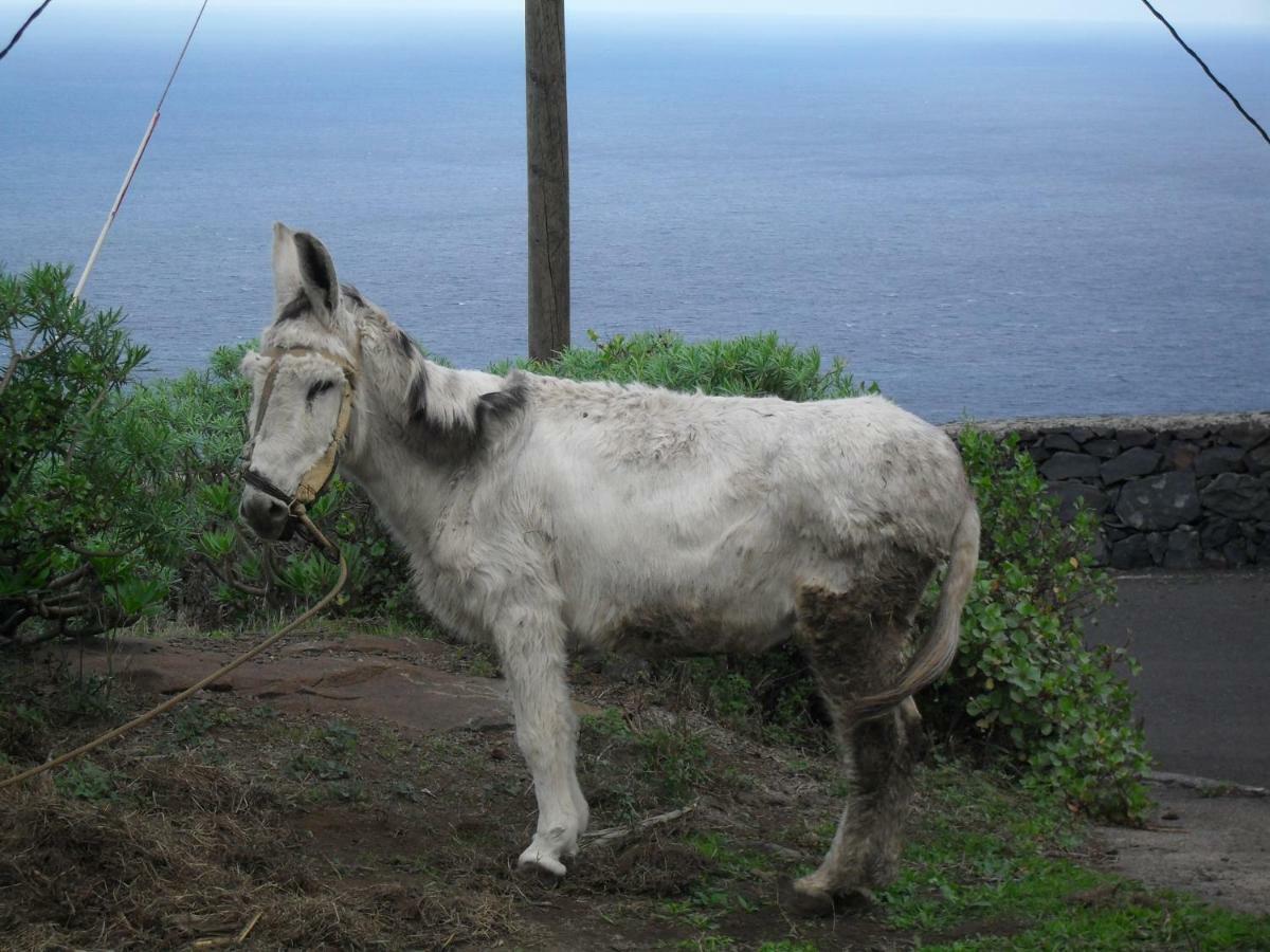 Casa Rural Arguamul Vallehermoso Eksteriør bilde
